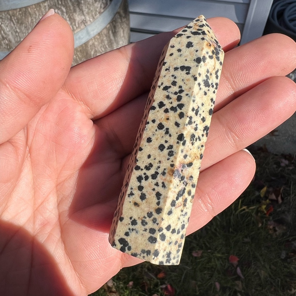 Dalmatian Jasper Obelisk Tower Point Geode Crystal Quartz